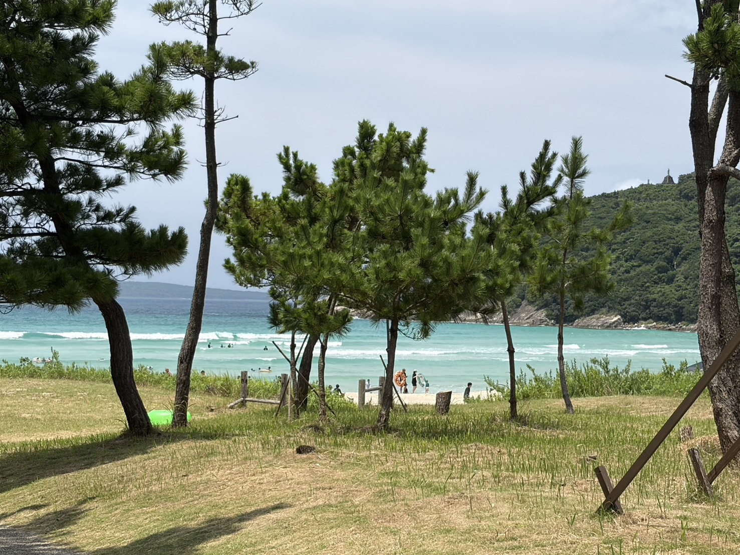 松の木の間から見えるエメラルドの海