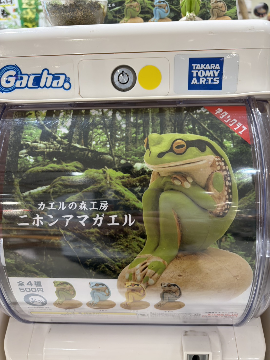カエルの森工房ニホンアマガエルのリアルなガチャガチャ筐体